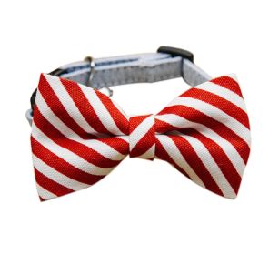 Adjustable Red and White Stripe Dog Cat Neck Tie Gentleman Dog Collar 6-11 Inches